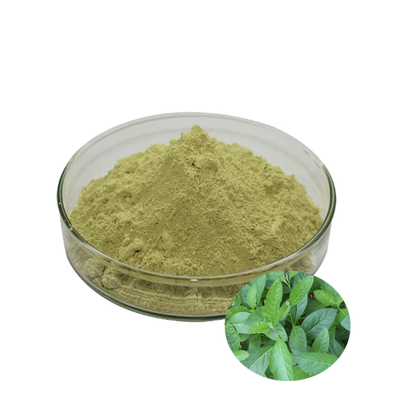 product-550-550 product-550-550