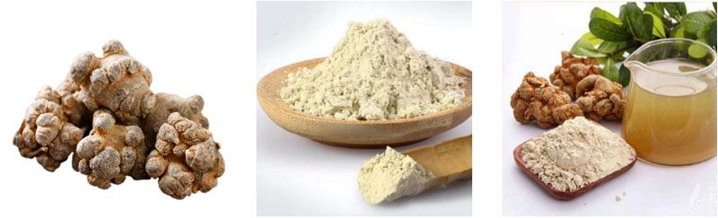 Pseudo-ginseng extract3