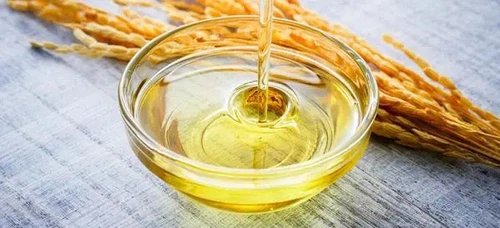 rice bran oil press rice bran oil press