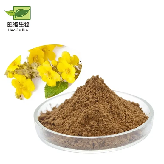 Chiết xuất hoa Mullein