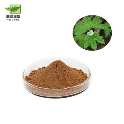 Chiết xuất rễ cây hải cẩu vàng